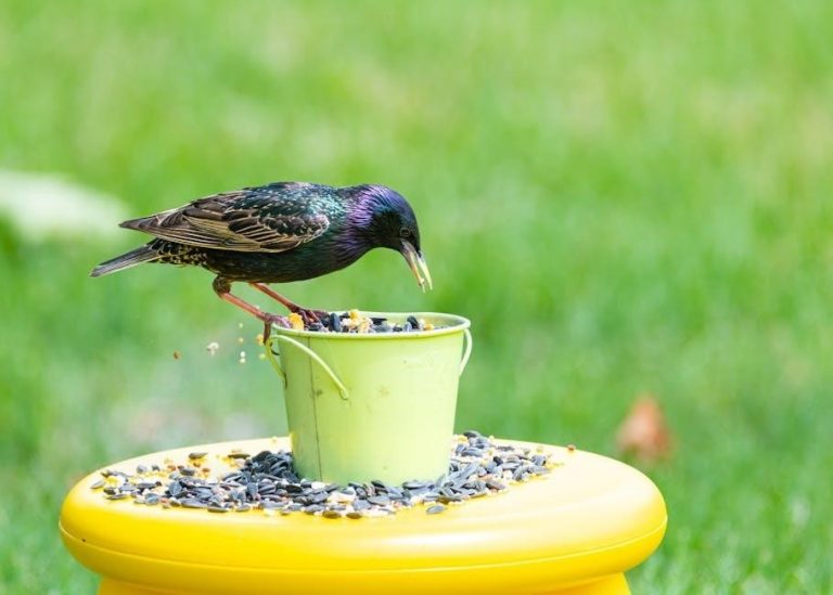 how full is your bucket pdf