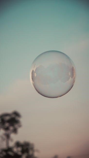 bubble he assessment pdf